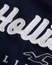 Load image into Gallery viewer, Hollister Applique Logo Hoodie