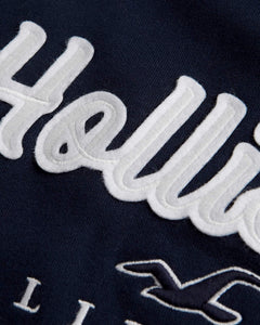 Hollister Applique Logo Hoodie