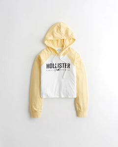 Hollister Colorblock Logo Hooded Graphic Tee