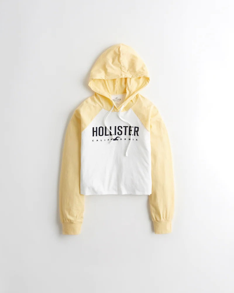Hollister Colorblock Logo Hooded Graphic Tee
